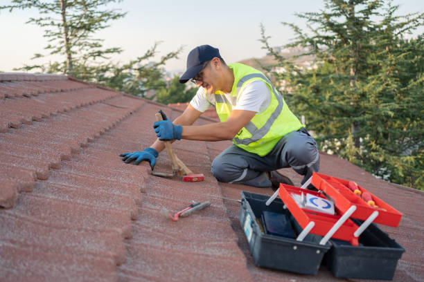 Roof Gutter Cleaning in Four Oaks, NC