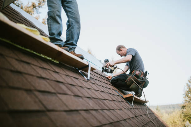 Best Roof Leak Repair  in Four Oaks, NC